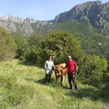 Piece Of Peace - Agrotourism *